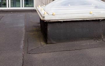disadvantages of New Eltham flat roofs