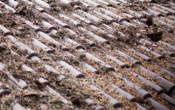 New Eltham roof cleaning companies