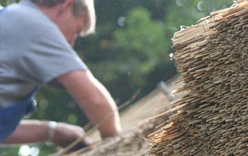 professional New Eltham thatchers